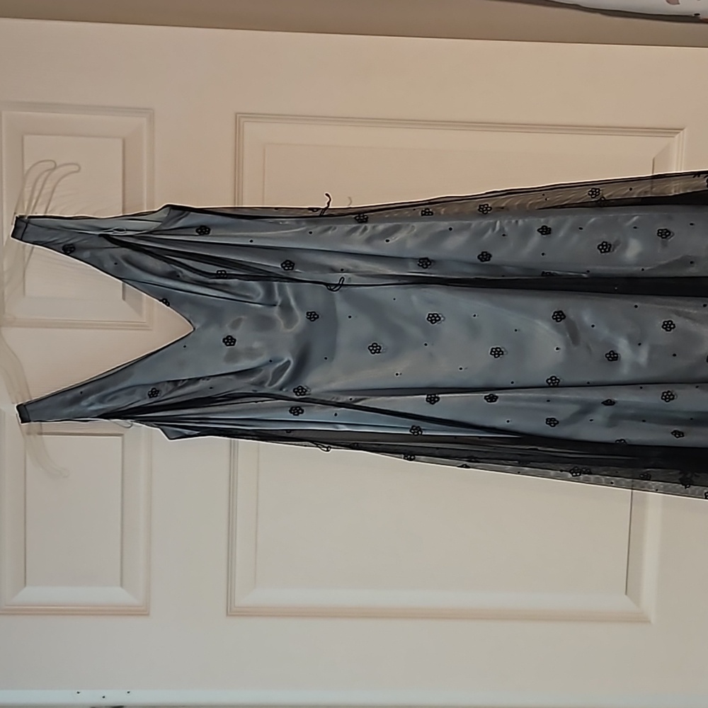 Adrianna Pappel midi length demi formal dress